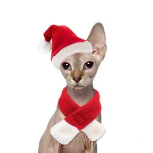 Mặc quần áo cho thú cưng của bạn trong Mũ Ông già Noel và Bộ khăn choàng phụ kiện hóa trang phụ kiện đóng Vai Mèo ấm áp