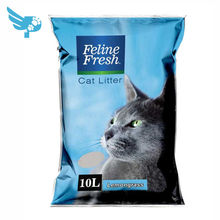 Feline fresh outlet litter review