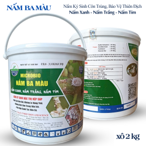 NẤM BA MÀU Nấm Ký Sinh Trừ Rệp Sáp Côn Trùng Sinh Học - 2Kg Bột tan