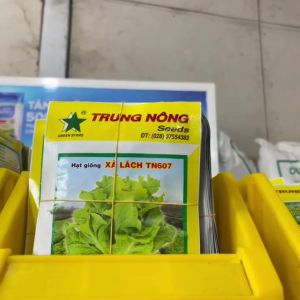 GÓI 10G (9000H) - HẠT GIỐNG XÀ LÁCH TN 607 TRUNG NÔNG