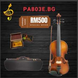 R . PAESOLD GERMANY VIOLIN MS803E B.G MODEL-BEAUTIFUL AND CLEAR TONE