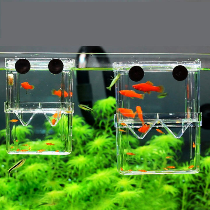 8*7*11cm DoubleDeck Clear Fish Breeding Isolation Box Aquarium Breeder