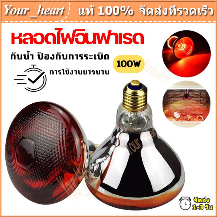 หลอดไฟอินฟราเรดกกสัตว์ รุ่นเรียบ 100W สำหรับให้ความอบอุ่นลูกไก่