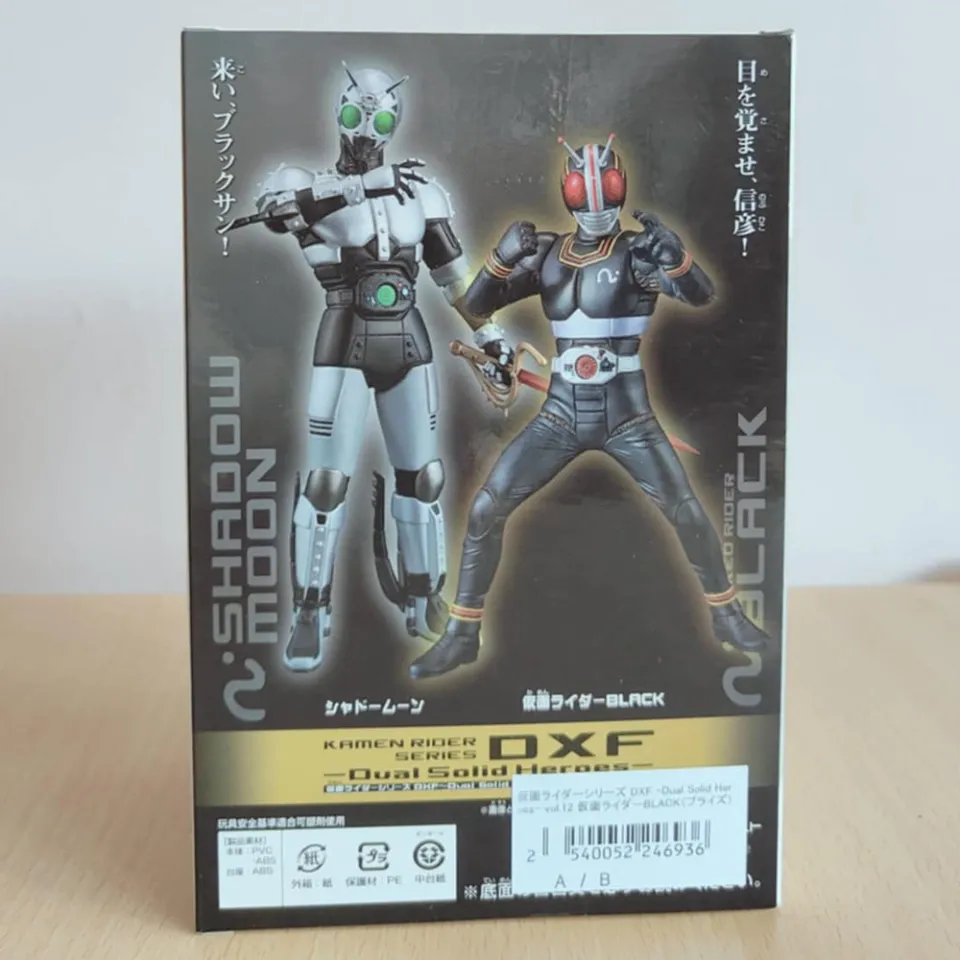 Kamen Rider Series DXF -Dual Solid Heroes- vol.12 Kamen Rider