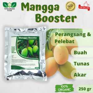 Pupuk Mangga Booster Organik Pelebat perangsang Buah dan bunga penyubur tanah ampuh termurah