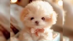 Ai Robot Dog Robot Dog That Acts Like a Real Puppy Nico Rob-ot Puppy My Realistic Robotic Dogs for Adults Realistic for Walking Barking Tail Wagging (Aa)