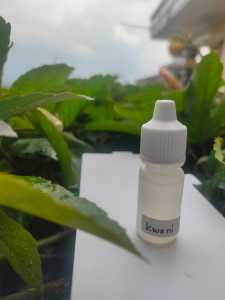 BIANG ESSEN MURNI KWENI 5ML