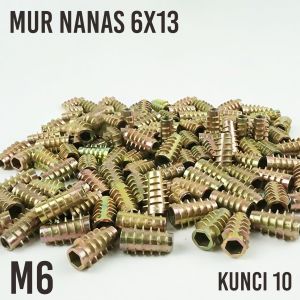 Mur Tanam ukuran M6 Kunci 10 / Mur Furniture M6 6x13 5pcs Termurah