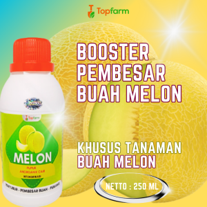 Pupuk Buah Melon / Pupuk Cair Untuk Buah Melon / Pupuk Khusus Buah Melon / Pupuk Booster Buah Melon / Pupuk Pemanis Buah Melon / Pupuk Pelebat Buah Buahan
