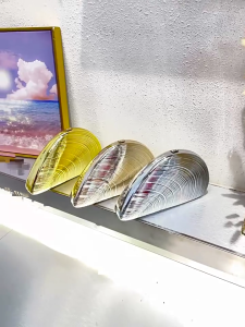 Novelty Seashells Evening Clutch Bag for Women Chain Shoulder Bag Acrylic Evening Bag Small Bag Trend Crossbody Bag