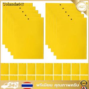 (NEW) ชุดแผ่นดักแมลงหวี่และแมลงวันผลไม้ 30/50/100 ชิ้น แบบเหนียวสองด้าน ขนาด 8x6 นิ้ว สำหรับใช้ในสวนและบ้าน