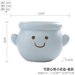 Cute Smiling Face Creative Expression Plant Pot