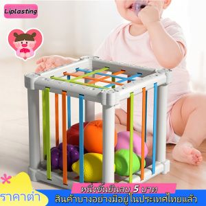 Liplasting ของเล่นเด็ก กล่องหยอดผลไม้ บล็อคตัวต่อผลไม้ ใส่รูปทรงต่างๆในกล่อง เสริมพัฒนาการ เพิ่มกิจกรรมให้เด็กๆ ของขวัญสำหรับเด็ก ของเล่นเสริมพัฒนาการ Bojind