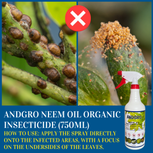 Neem Oil Organic Insecticide