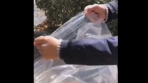 Premium Thick Transparent PE Flat Storage Bags Dustproof Moisture Proof Large Capacity Packaging