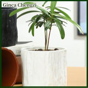 Ginca Nhựa giả gỗ nhà máy nồi cổ điển Bàn tròn trang trí phong cách Lọ hoa giả cây vỏ cây mọng nước cây container sáng tạo