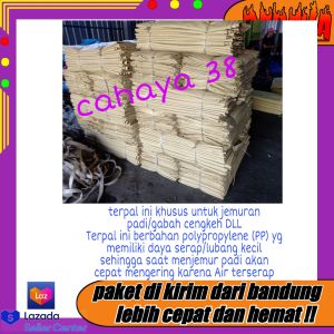 Terpal Hamparan 3x4 khusus padi/gabah