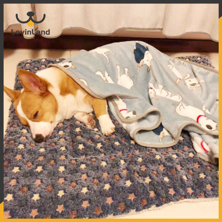 Lovinland Pet Dog Puppy Blanket Paw Print Puppy Blanket for Small Medium  Large Pet Dog Cat Warm Soft Sleep Mat Puppy Kitten Soft Blanket Throw Doggy 