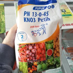 Pupuk KNO3 Putih Mempercepat Pertumbuhan & Pembuahan