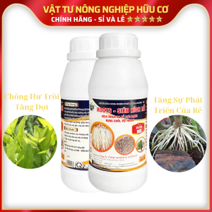 ROOTS KÍCH RỂ Cực Mạnh Bung Chồi Phát Triển Đọt Non - 500ML