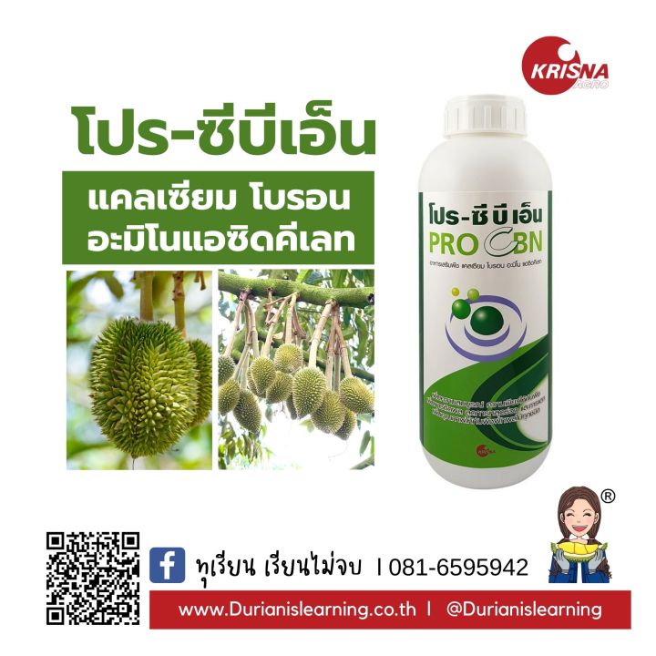 โปรซีบีเอ็น แคลเซียม โบรอน ป้องกันไส้ซึม ก้นผลเน่า