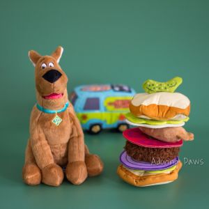 Squeaky Durable BARK Scoob Grub Sandwich Burger Plush Pet Dog Puppy Cat Soft Tug Children Kids Toy with Squeaker Sound Crinkle
