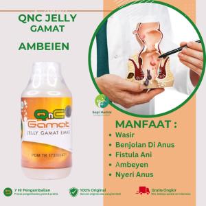 QnC Jelly Gamat - Ambeien Wasir Benjolan di Anus Anus Bengkak BAB Berdarah Anus Gatal dan Perih Anus Sakit Fisula Ani