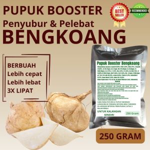 Pupuk Booster Bengkoang / Obat Booster Bengkoang / Pupuk Booster Bengkoang / Pupuk Bengkoang