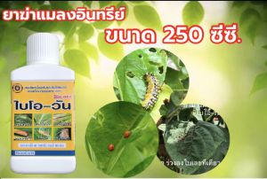 ยาฆ่าแมลงอินทรีย์ (หนอน เพลี้ย แมลง ไรแดง) ปลอดภัย เป็นอินทรีย์แท้ สกัดจากธรรมชาติ ไม่มีสารตกค้าง ขนาด 500 ซีซี