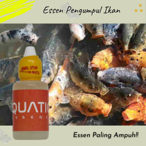 ESSEN PENGUMPUL IKAN BEBAS MEDIA UMPANG PELET BANDUL KEMASAN 30ML COCOK UNTUK SEMUA JENIS IKAN MANCING HARIAN DAN LOMBA GALATAMA
