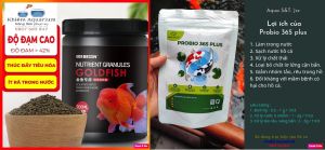 Vi sinh PROBIO 365 (DẠNG MEN TAN NHANH) TÚI 100G pha được 125 m3 dành cho cá rồng channa guppy két chép sư tử Gói chiết 125g BAO BÌ MỚI