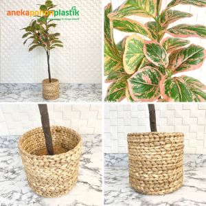 Pohon Plastik Daun Karet Merah Muda / Hijau Tua X3 T140 Latex Artificial Pot Dasar Cover Anyaman Eceng Gondok Hiasan Aesthetic