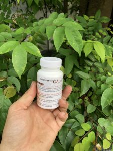 GALATINE xử lý lỡ loét đỏ mình cho cá koi.