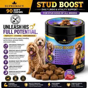 Supremacy Premium Boost – Post-Breeding Supplement for Dog Fertility & Libido Support | Advanced Formula Enriched with Essential Vitamins Minerals and Herbal Extracts to Promote Optimal Reproductive Health | Supports Hormonal Balance and Boosts Libido
