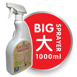 ANTIFECT Air Disinfectant 1000ml Prevention HFMD/H1N1/INFLUENZA