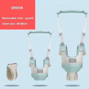 เด็กวัยหัดเดิน เด็กวัยหัดเดิน Assistant เด็กวัยหัดเดินสำหรับเด็กหัดเดิน 6-36 เดือน