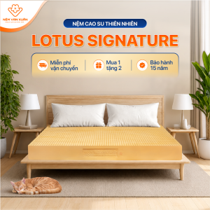 [HOẢ TỐC HCM] Nệm Cao Su Thiên Nhiên Truyền Thống Vạn Xuân Lotus Signature Nguyên Khối Nâng Đỡ Cơ Thể