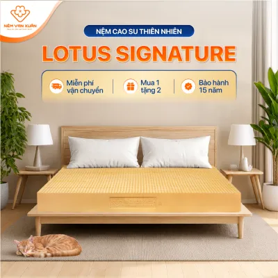 [DUY NHẤT 20H 7/8 - 10/8 - HOẢ TỐC HCM] Nệm Cao Su Thiên Nhiên Truyền Thống Vạn Xuân Lotus Signature Nguyên Khối Nâng Đỡ Cơ Thể