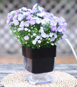 [SG Seller] Smart  Square Self Watering Flower and Plant Pot / Plastic Pot / Automatic absorption Water Pot / Balcony Planting