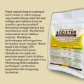 Pupuk Booster Stoberi / Obat Booster Buah Strawberry / Pupuk Booster Strawberry / Pupuk Strawberry. 