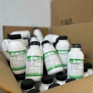 Combo 5 chai Mực nạp Premium đậm 12A/ 05A/ 80A/ 49A/ 53A
