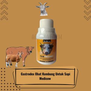 Medicow Gastrodex Obat Diare Kembung Ternak Sapi Kambing Domba 100Ml
