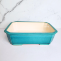 The Leaferie Bonsai Tally Pot (Series 9) . Plant pot . Ceramic . Flowerpot . Flower pot . Planter. 