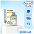 NAVET-AMPICOL _ hỗn dịch kháng sinh tiêm. 