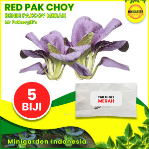 Benih Pak Choy Merah RED CHOI 5 BIJI bibit sayur sawi sendok import hidroponik pakchoy bok coi  F1 Mr Fothergills