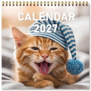 JING Spiral Bound Cat Calendar Cat Theme Funny Print Wall Calendar Creative 12 Month Monthly Calendar For Home Wall Decor