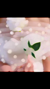 Bridal Wedding Shawl Sheer Wrap Wedding Shawl Shrug Wrap with Pearl Beads Eye Catching Shoulder Wrap Proms Bride Capelet