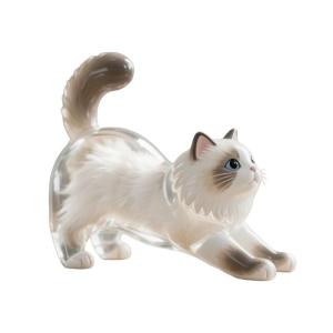 Plastic Clear Cats Furs Display Case Pet Hair Collection Container Ornament For Pet Memorabilia Decors Gift Giving