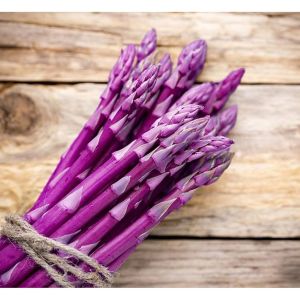 Hạt giống Măng tây tím rau thơm ngon năng suất cao thân cây to