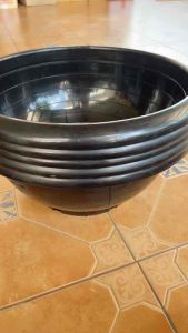 กระถางชวนชม 15.5 นิ้ว แพ็คละ 5 ใบ สินค้าพร้อมจัดส่ง